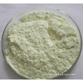 Natural angelica extract/angelica extract powder/angelica root extract